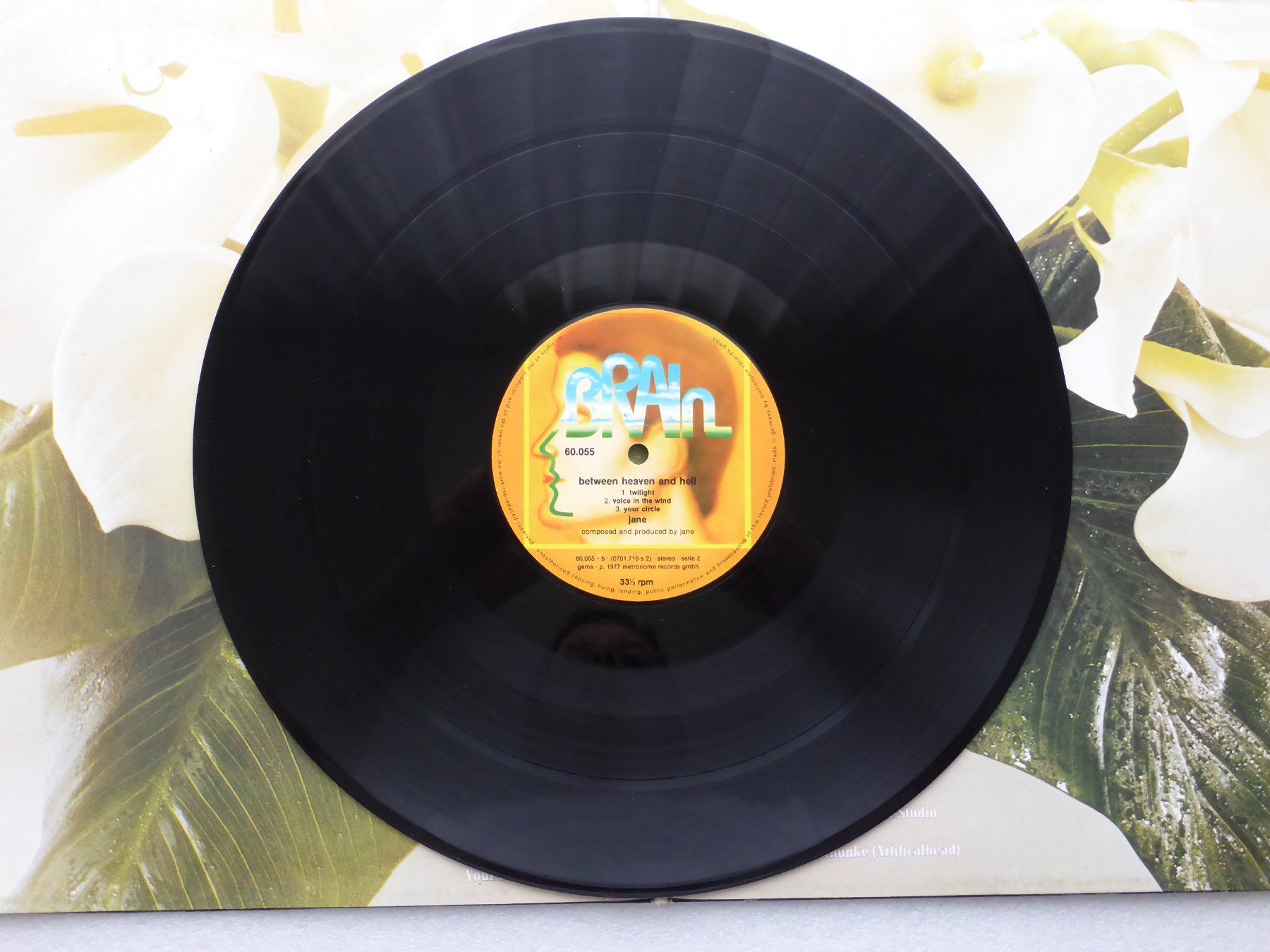Dischi in vinile: VINYL  LP  JANE – Usato da Küssnacht am Rigi venduto da Sunnestrahl 3