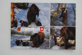 AK Bern, Bärengraben