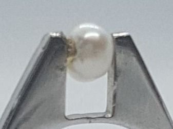 Anelli: Weissgold Perlenring 18 Karat Gold 750 – Nuovo (secondo la descrizione) da Unterägeri venduto da Altgoldschmuck 5