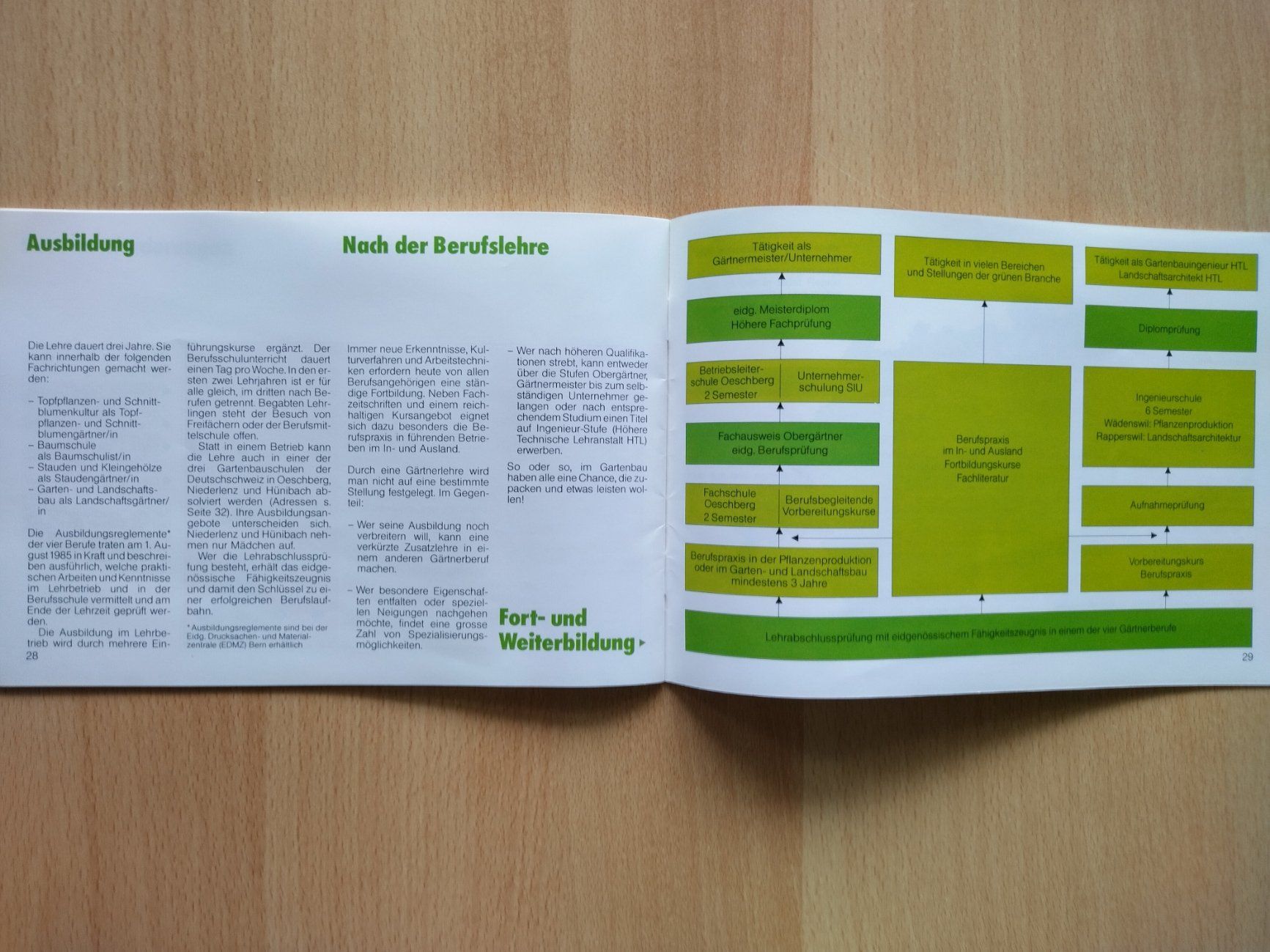 Libri: Gärtner - ein Begriff - vier Berufe (1988) – Usato da Jona venduto da Argus36 7