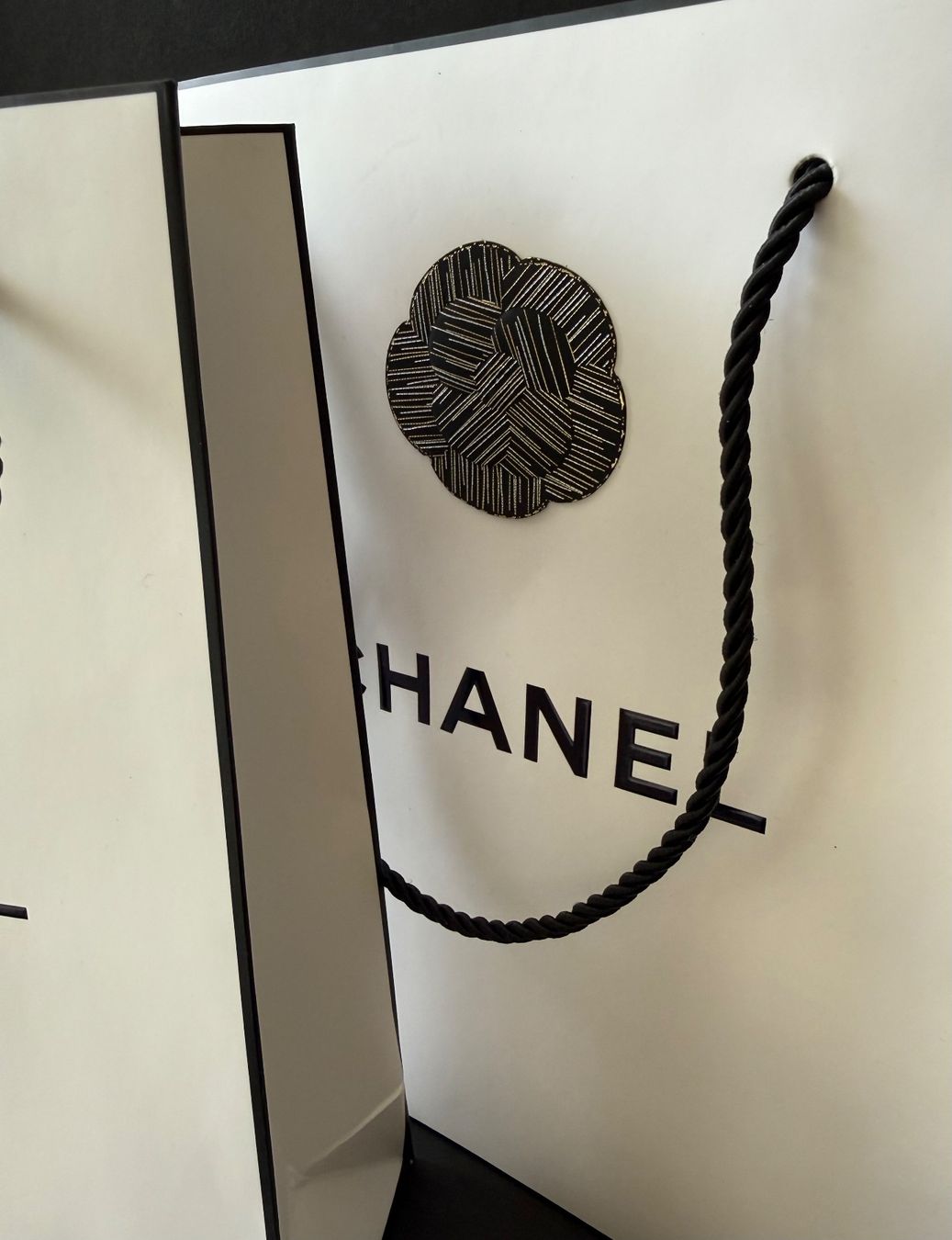 Chanel Borse: CHANEL - 2 Papiertaschen mit Kamelien und Geschenksband – Usato da St. Gallen venduto da aracne 4