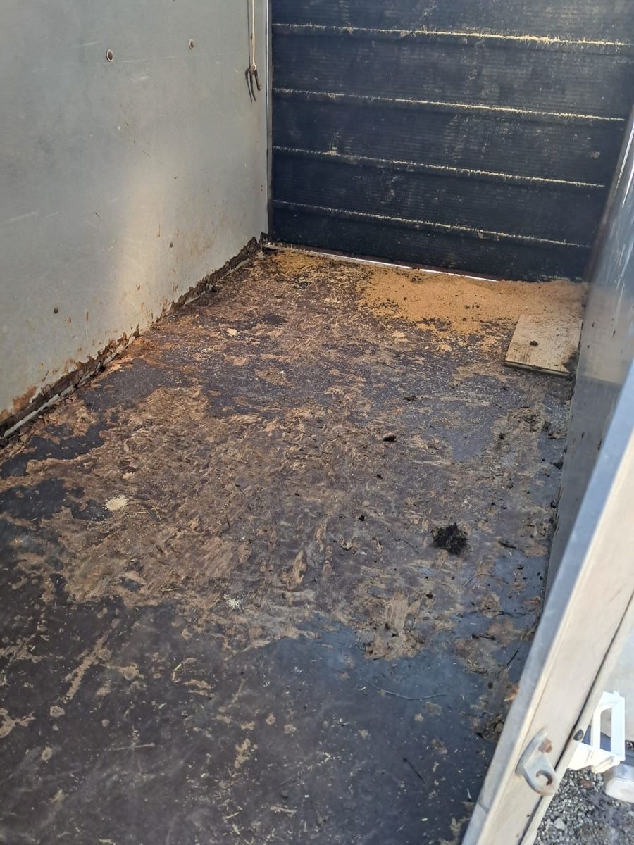 Anhänger: Pferdeanhänger – Gebraucht aus Schangnau von Roseggli82 1