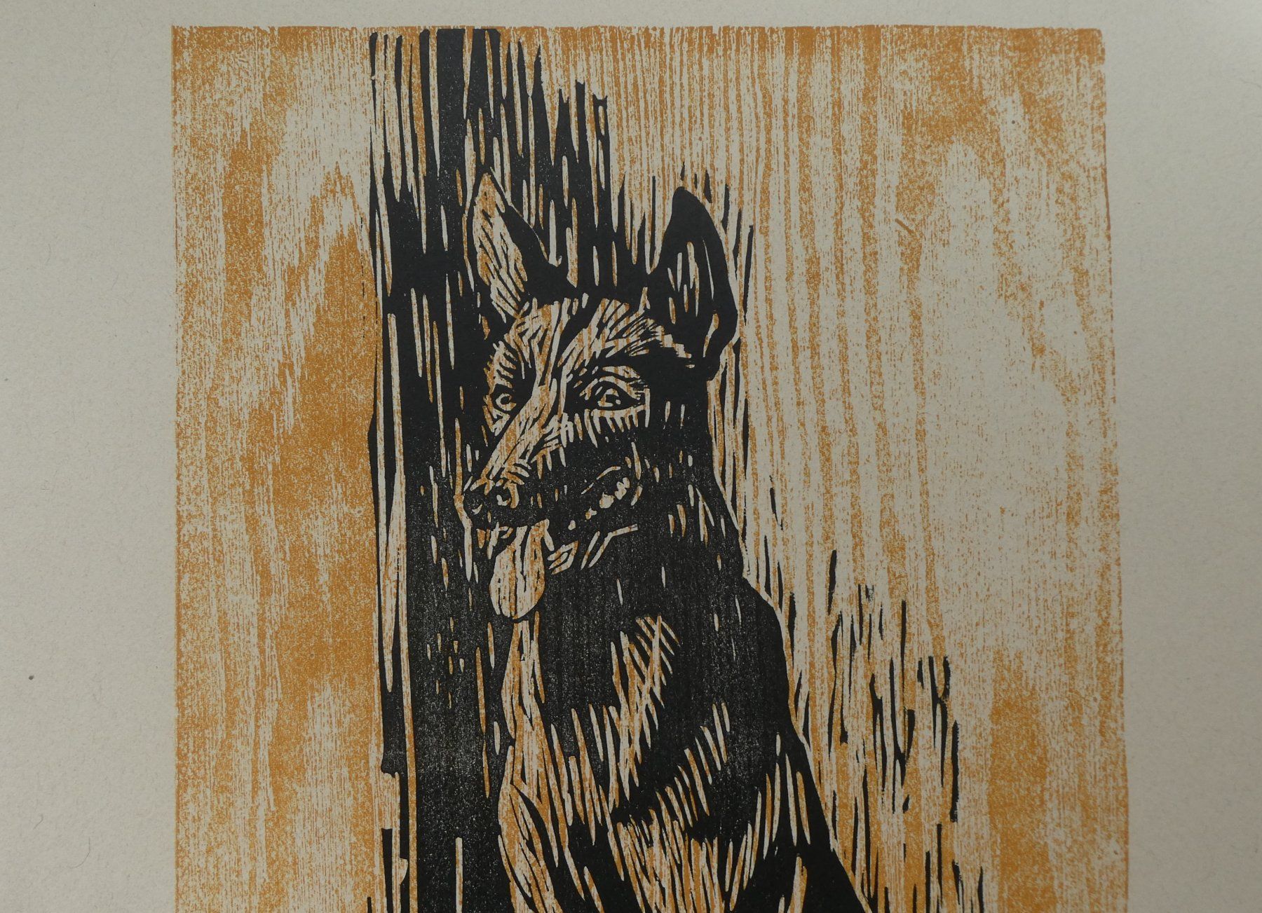 Grafica & Litografie: Lithografie Werner Eberli Gottlieben Thurgau Schäferhund – Usato da Frauenfeld venduto da Astra13 2