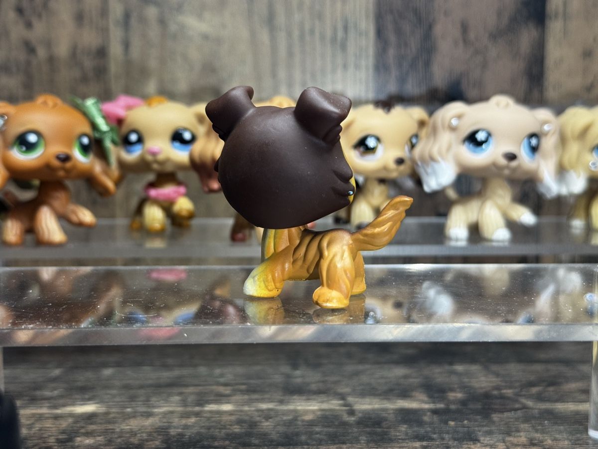 Hasbro Jouets: Littlest pet shop Collie – D'occasion à Luzern par Maja.C 1