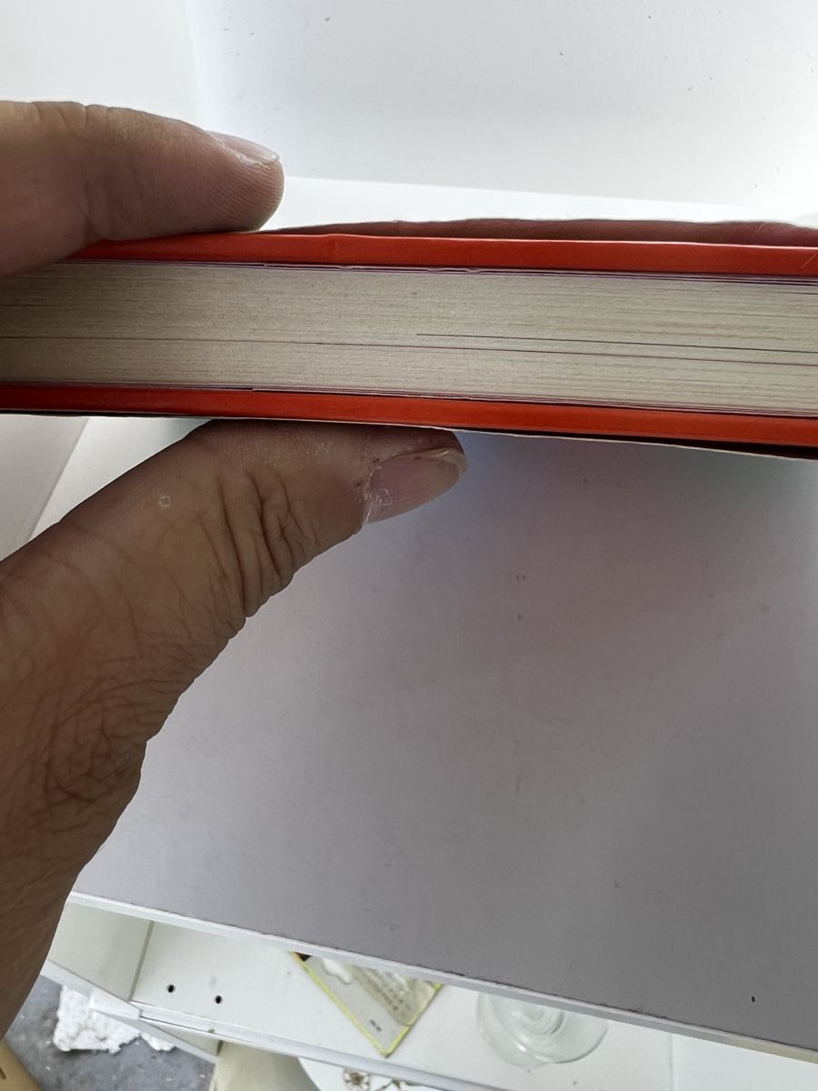 Libri: Renée Niklan Artbook – Usato da Wettingen venduto da NickInc 3