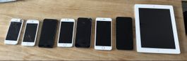 7 Apple iPhones und 1 iPad diverse Modelle