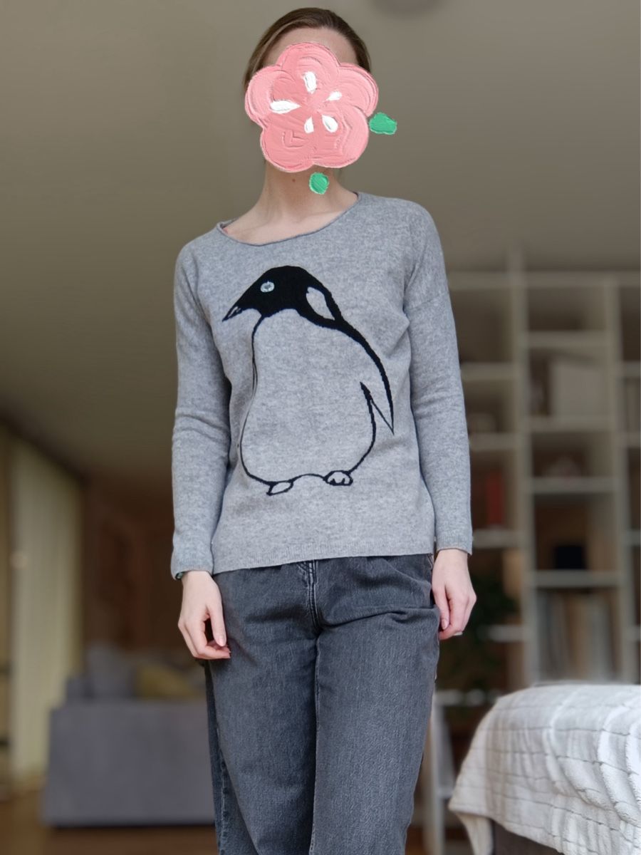 Lieblingsstück Pullover & Sweatshirts: LIEBLINGSSTÜCK PINGUIN PULLOVER – Gebraucht aus Zürich von dbu_s8p2