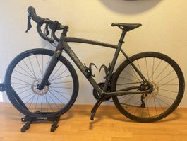 Rennvelo Sensa Damen 51cm