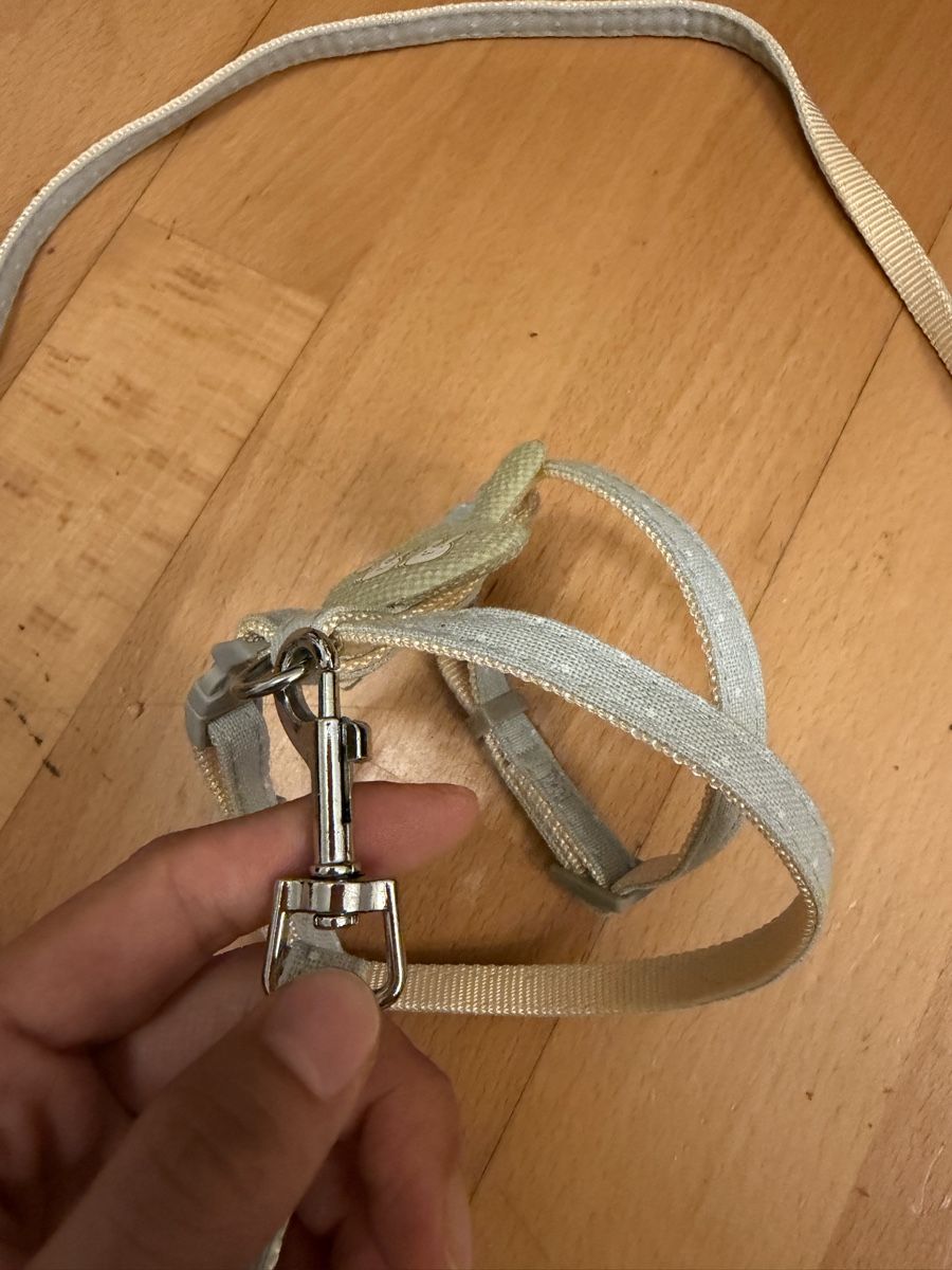 Guinzagli & Collari: Katzengeschirr pet leash – Nuovo (secondo la descrizione) da Zürich venduto da arr_vq5w 2