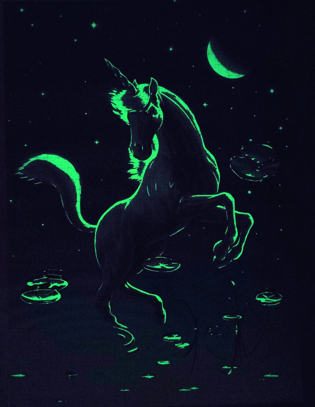 Ravensburger Puzzle: Puzzle Einhorn Glow in the Dark – Usato da Meilen venduto da Glaussonauten 1