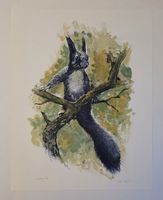 Willy Eugen Bär  Litho. Nr. handsign. Tier-Motiv,  50x40cm