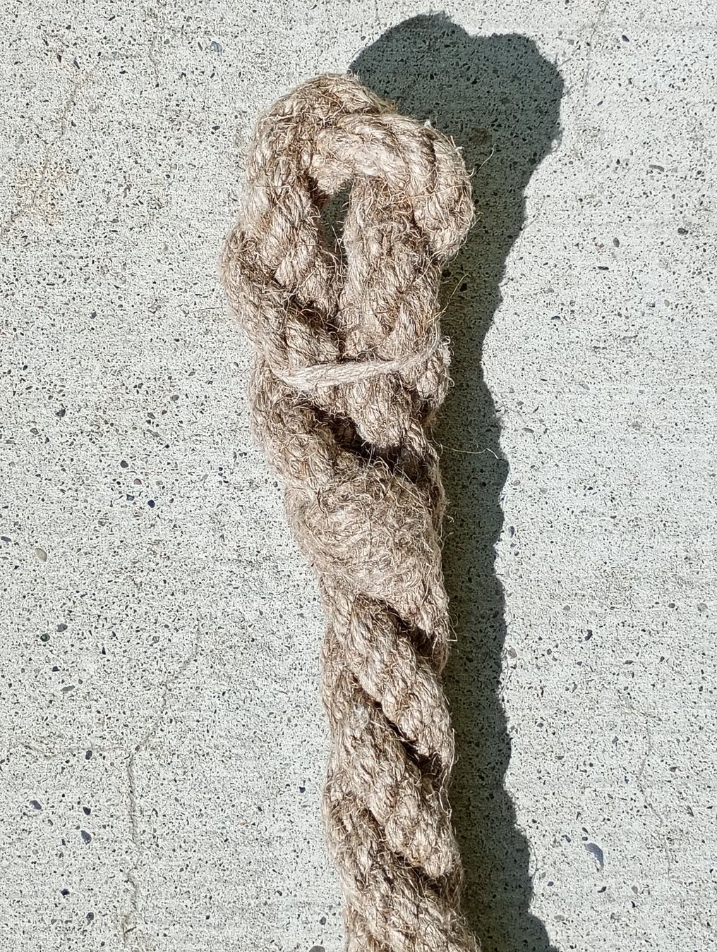 Autres accessoires pour animaux: Klausgeissel gross – Neuf (Voir description) à Möriken AG par Vellas 3