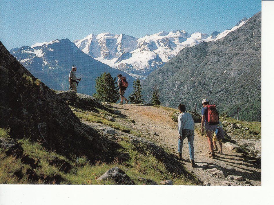Cartoline postali: Pontresina Höhenweg um 1995 – Usato da Bürglen TG venduto da StampGraf