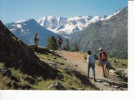 Pontresina Höhenweg um 1995