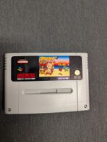 Spanky's quest super Nintendo
