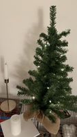 Small Christmas tree with lights