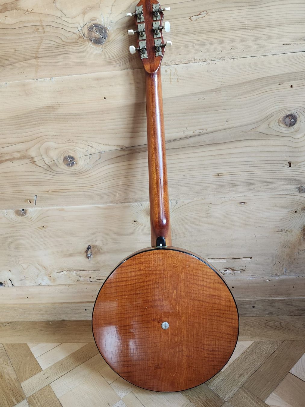 Instruments de musique: 6 string Banjo - banjitar – D'occasion à Goldswil par haydontiger 3