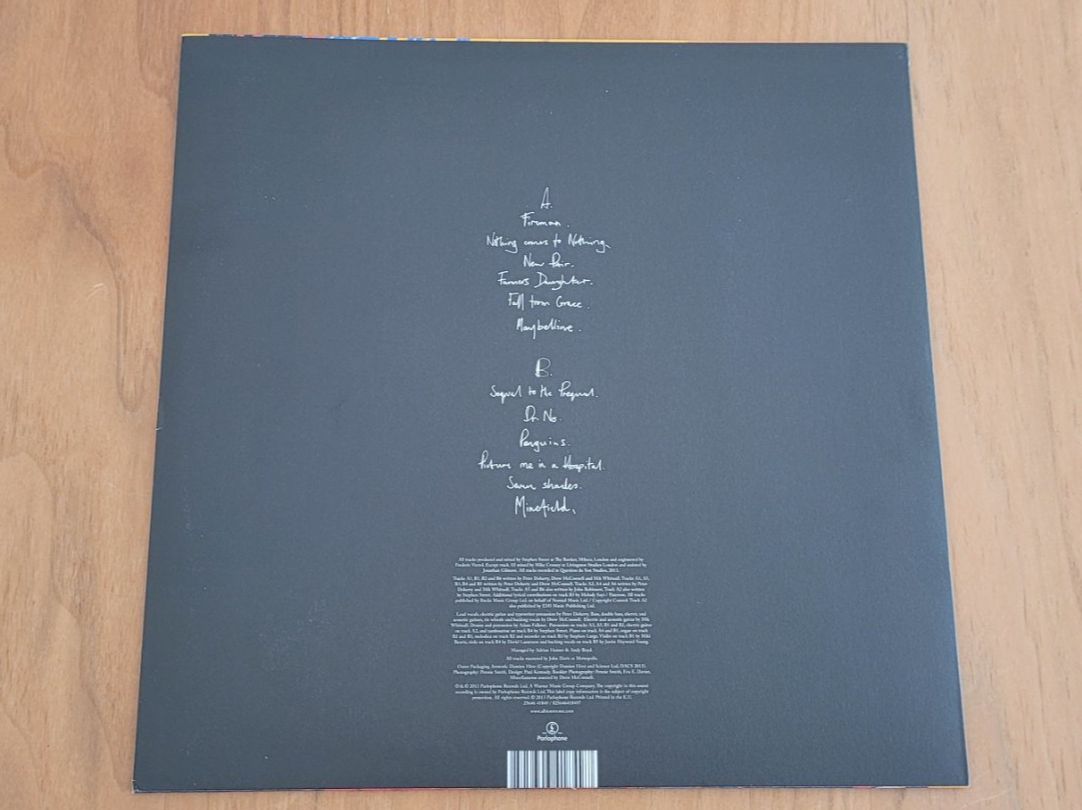 Dischi in vinile: LP + CD  Babyshambles – Usato da Martigny venduto da MZ-67 1