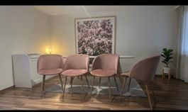 🌸6 Esszimmerstühle Rosa🌸