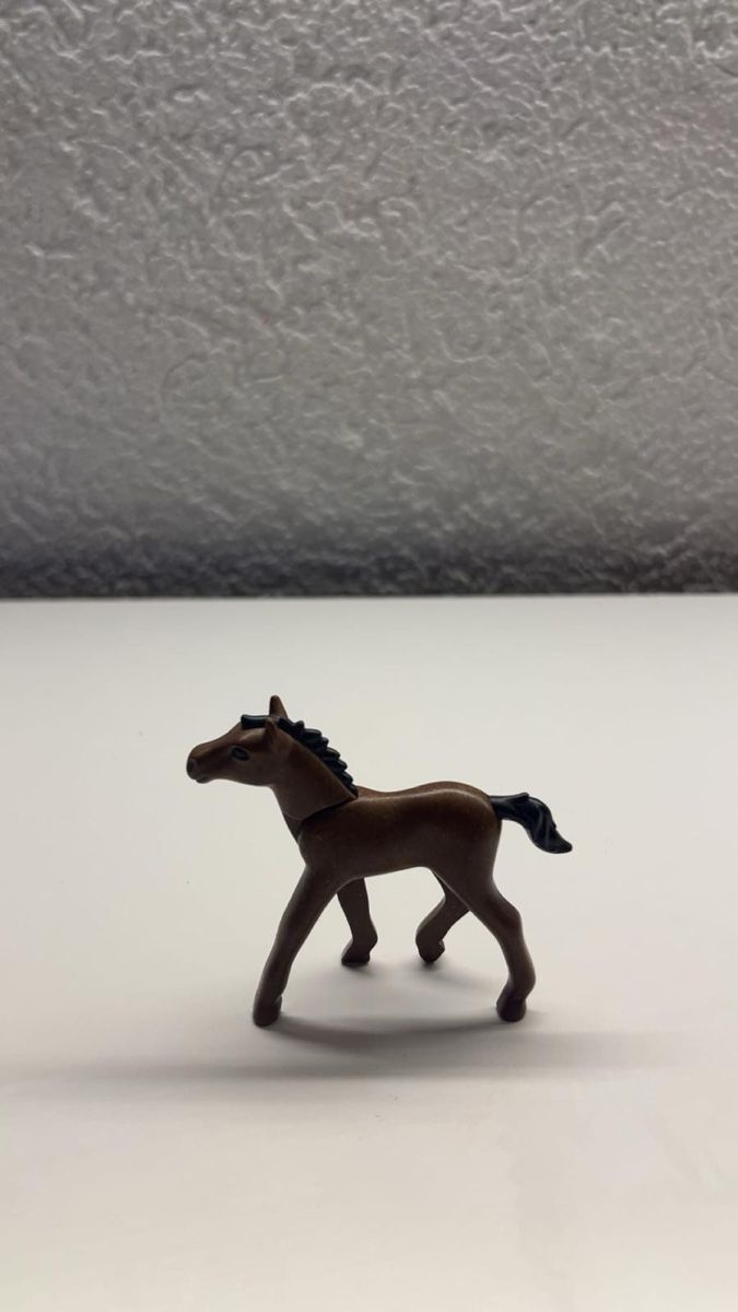 Playmobil Giocattoli: Poulin playmobil !!! – Usato da Avenches venduto da Rose-rose