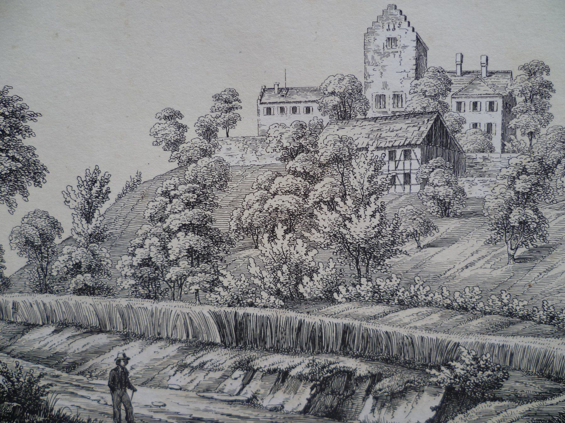Stiche: SCHWANDEGG   ZURICH – Neu (gemäss Beschreibung) aus Bevaix von bohrap 1