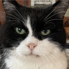 Profile image of Mon_deux_9011