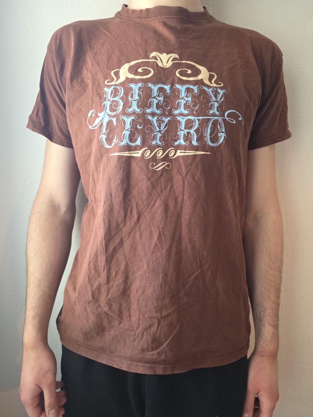 Kleiderpakete: Band-Shirts - Bundle - Grösse M – Gebraucht aus St. Gallen von ani_75
