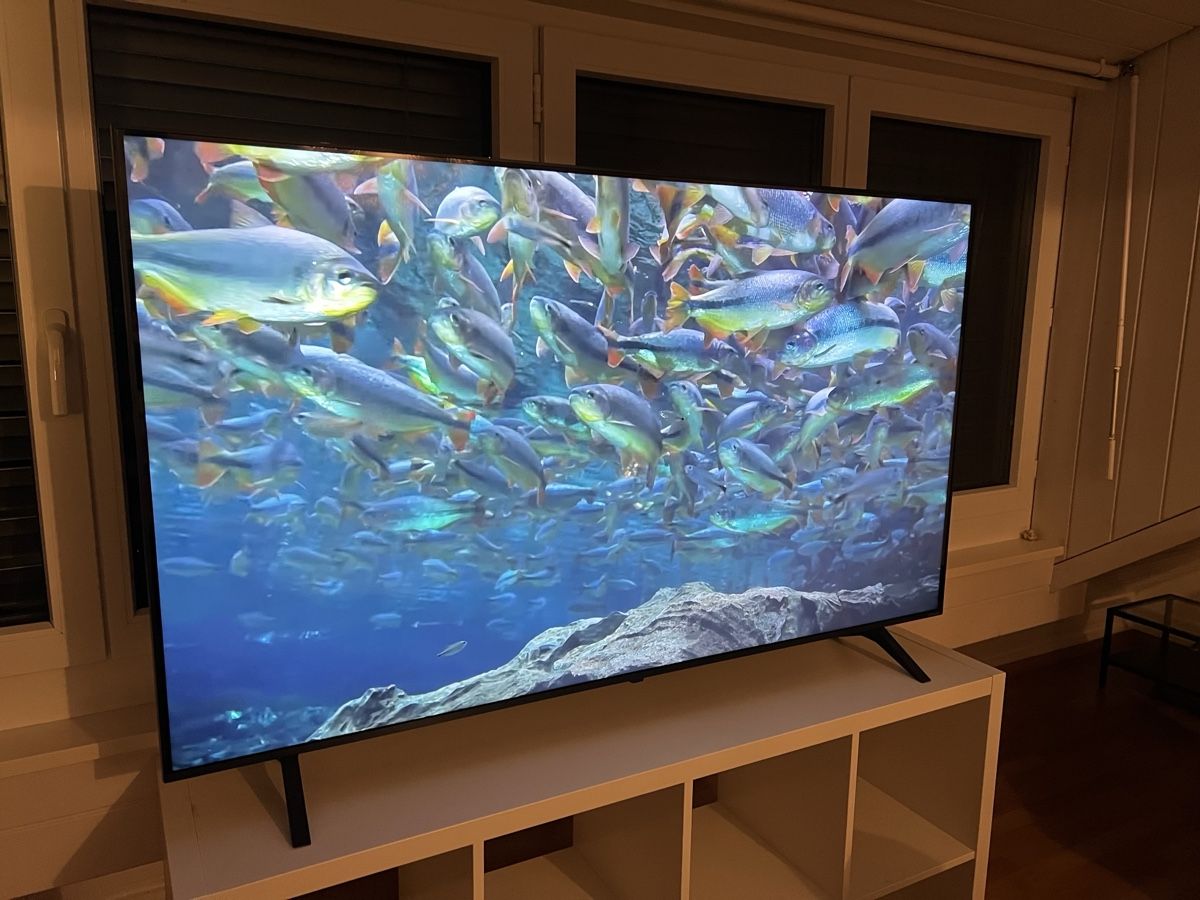 LG Televisori: LG 65NANO81T6A – Usato da Bellach venduto da kn1000