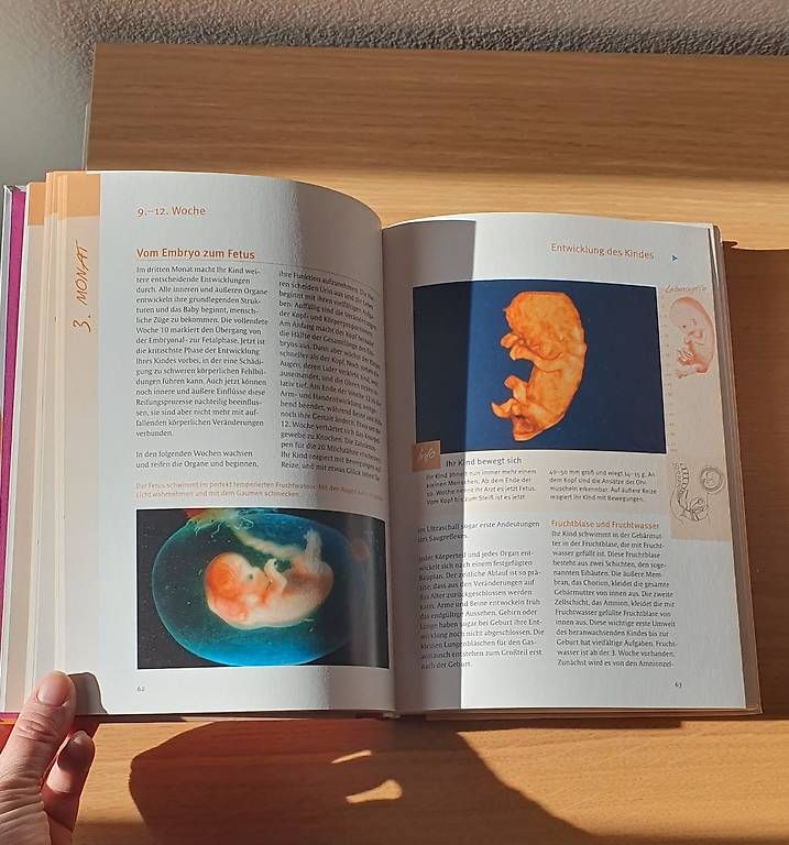 Libri: Schwangerschaft, Geburt & erste Babymonate – Usato da Steffisburg venduto da flueru 1
