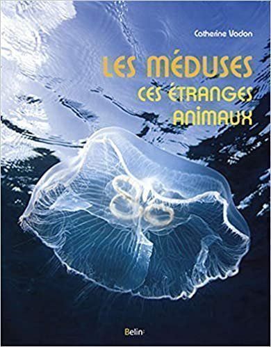 Livres: Les méduses, ces étranges animaux – D'occasion à Neuchâtel par Dualseele
