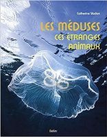 Les méduses, ces étranges animaux