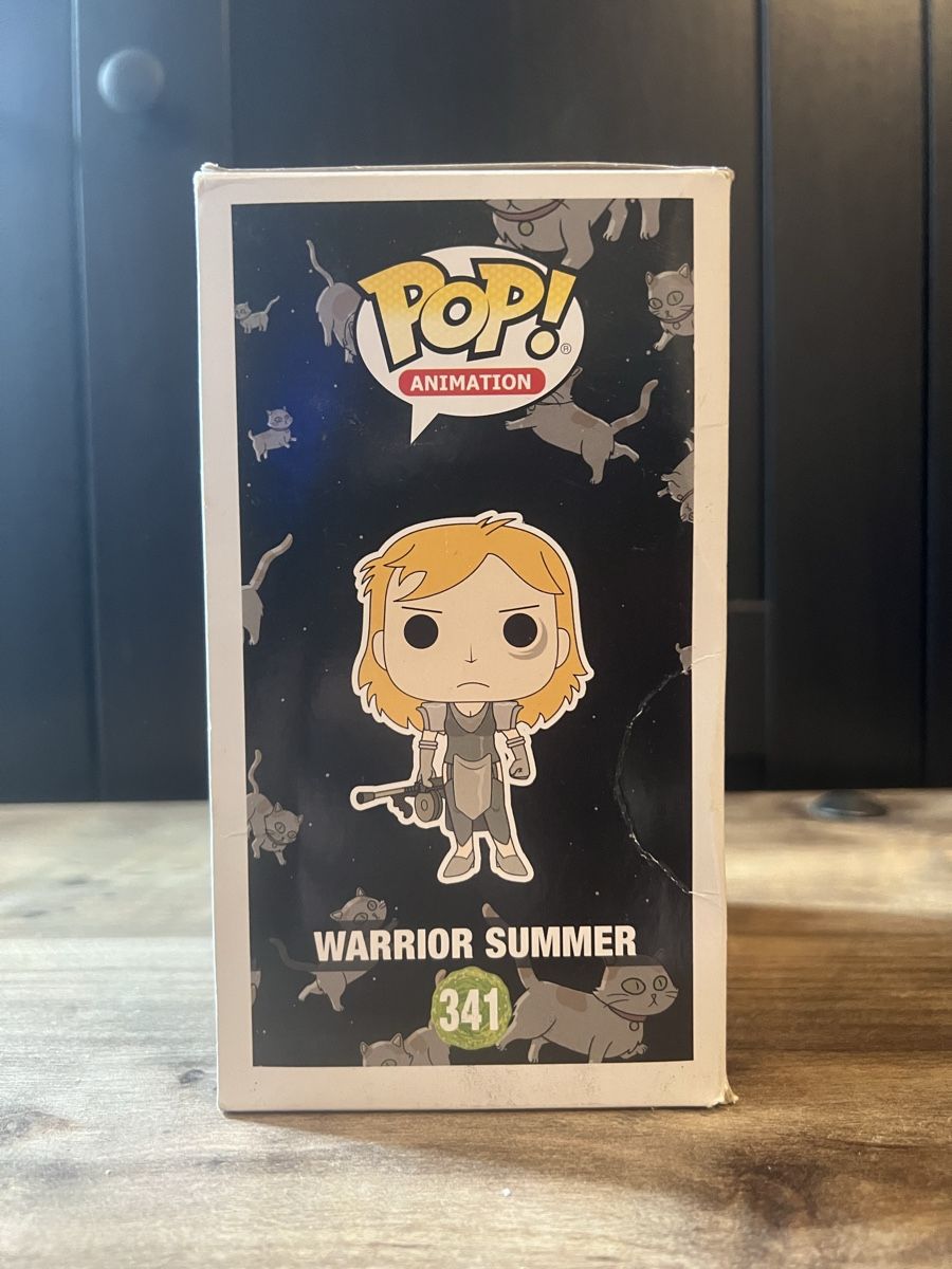 Funko Statuette: Funko Pop Rick and Morty Warrior Summer #341 – Usato da St. Gallen venduto da Nino1111 4