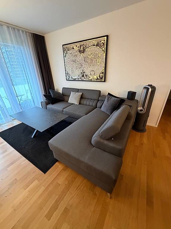 Divani: Sofa – Usato da Küsnacht ZH venduto da pet_65zf