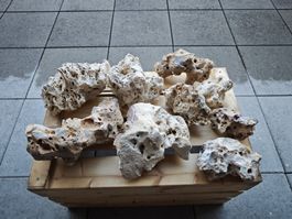 Aquarium - Lochgestein in verschiedenen Grössen