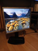 HP 1955Monitor, gebraucht, Top Zustand ideal fürs Homeoffice