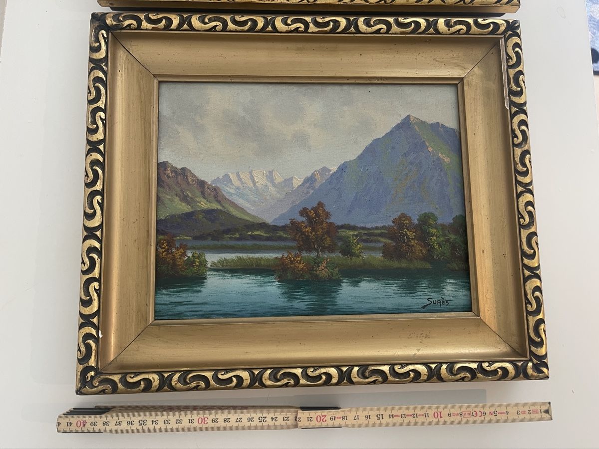 Dipinti: 2er Set Original Ölgemälde Landschaftsmalerei, Surès – Usato da Richterswil venduto da Noelle80 1