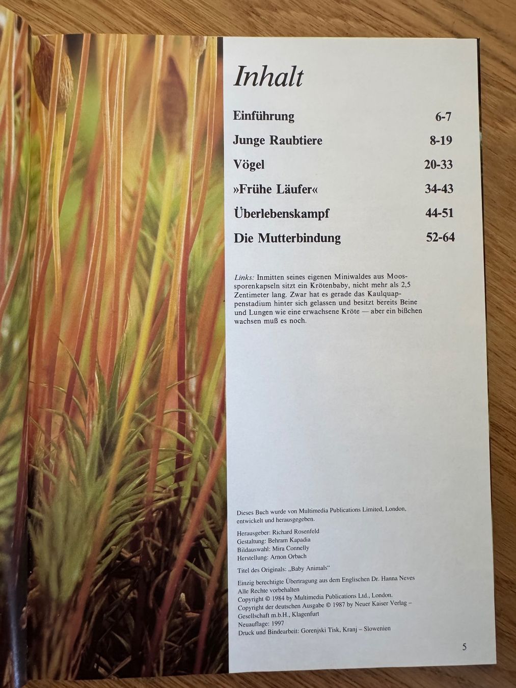 Libri: Tierkinder Buch mit Bildern – Usato da Riedholz venduto da emm_22qn 2