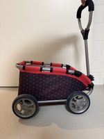 Puppenwagen / Einkaufswagen