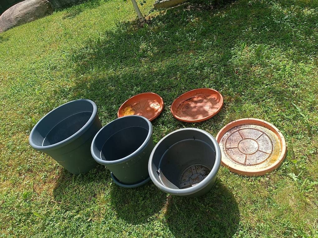 Vasi per fiori: Grosse Töpfe – Usato da Uster venduto da carolin.z 1