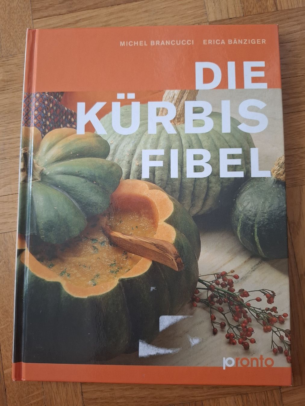 Die Kürbisfibel: Das Kochbuch für Herbst und Winter 🎃 (Neu (gemäss ...