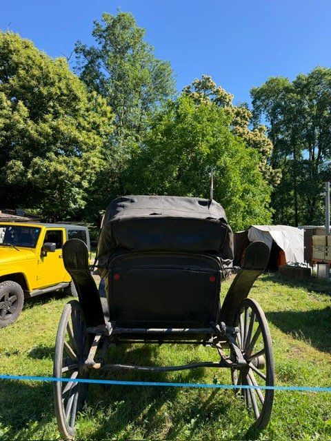 Kutschen: Vendo carrozza per cavalli – Gebraucht aus Stabio von bre_nql6 1