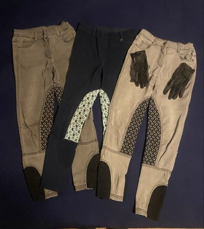 Reithosen Set 3-teilig mit Reithandschuhen 146