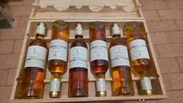 Chateau Lafaurie Peyraguey Sauternes 1er Cru - 6er OHK 2009