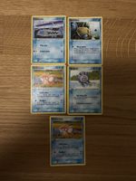 Pokémon Diverse Karten