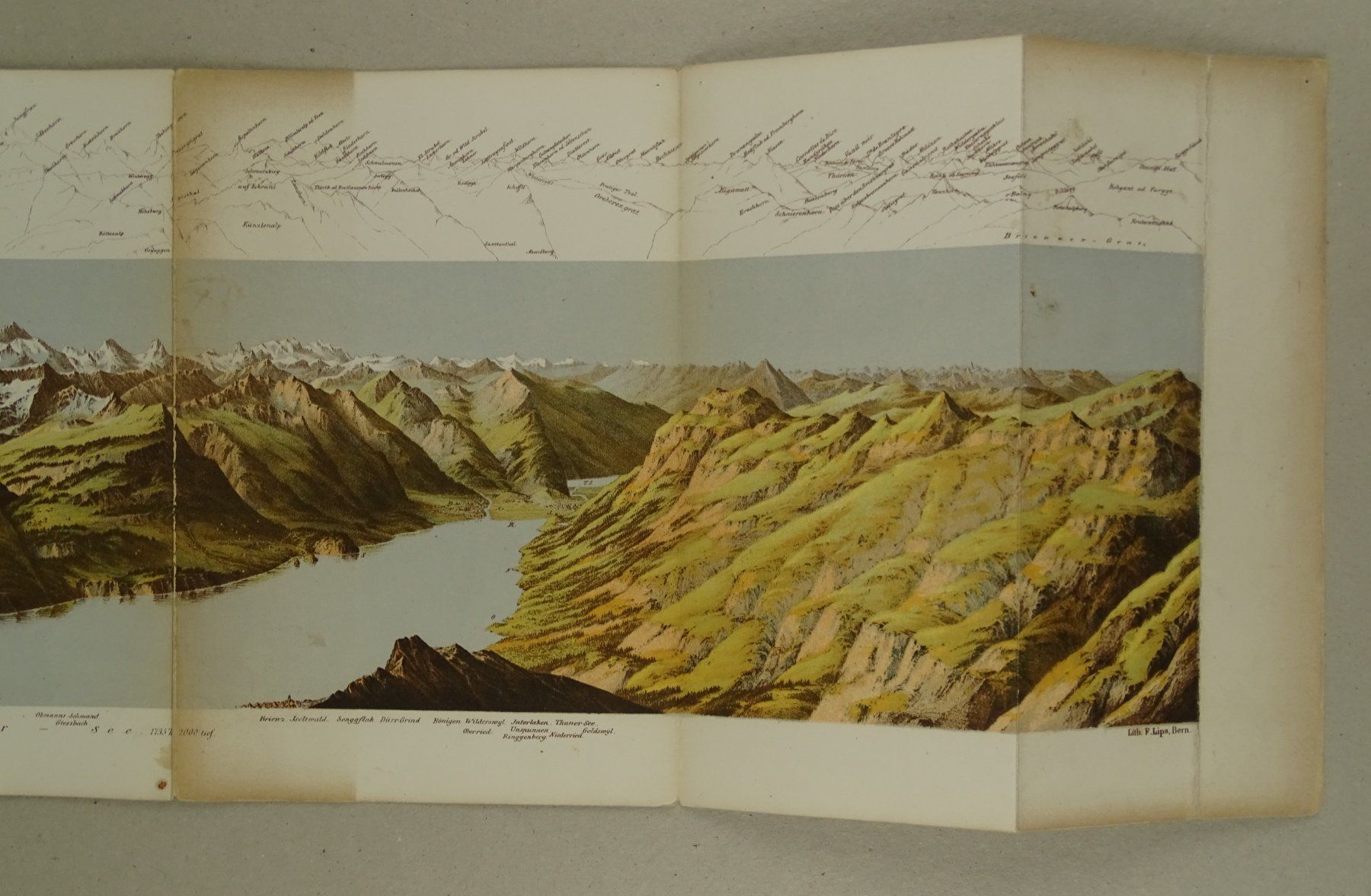 Libri: PANORAMA VOM BRIENZER-ROTHORN – Usato da Grüningen venduto da Kartensammler 3
