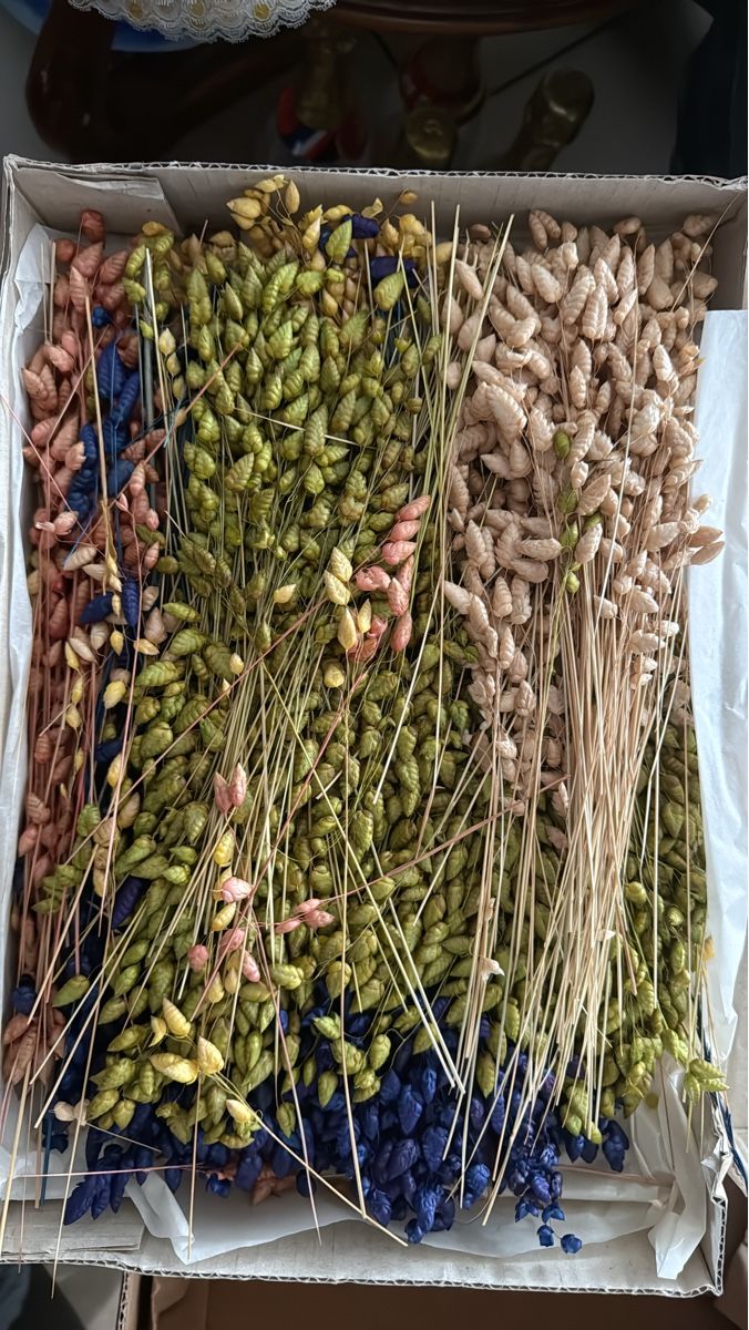 Tutte le decorazioni: Getrocknete Blumen, bunte Dekoration – Nuovo (secondo la descrizione) da Bern venduto da Marym