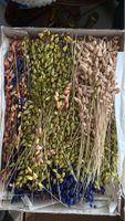 Getrocknete Blumen, bunte Dekoration