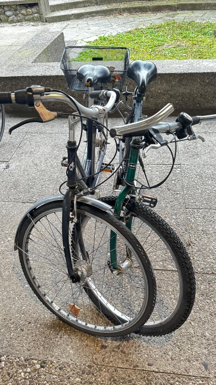 Biciclette: Zwei Velos – Usato da Zufikon venduto da bil_t9sg