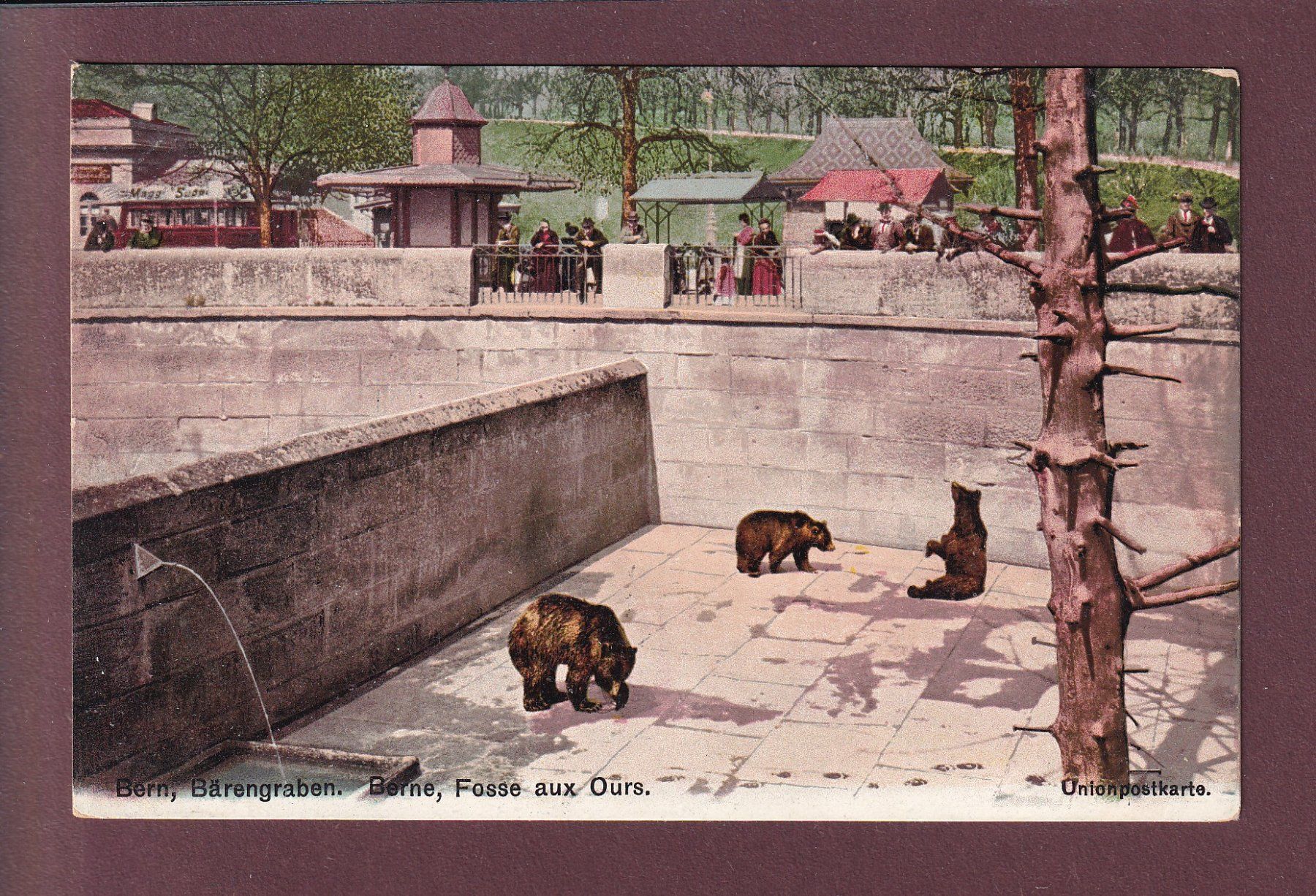 Cartoline postali: BERN - Bärengraben – Usato da Pully venduto da nicecards