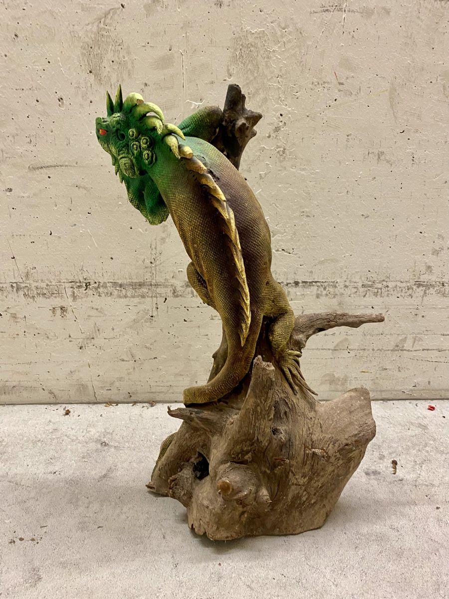 Skulpturen & Statuen: Leguan auf Treibholz – Gebraucht aus Rickenbach ZH von Der-Insider 3